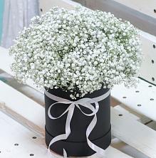Цветочная композиция из Гипсофила в шляпной коробке в Новом Янкуле
