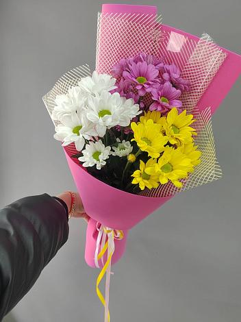 Букет цветов из: Хризантемы в Новом Янкуле