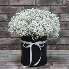 Цветочная композиция из Гипсофила в шляпной коробке #REPLACE_PRED# Новом Янкуле